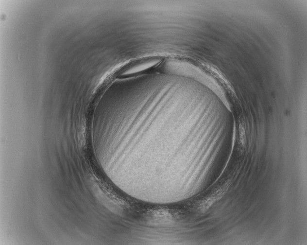 X0000087400588200705042037