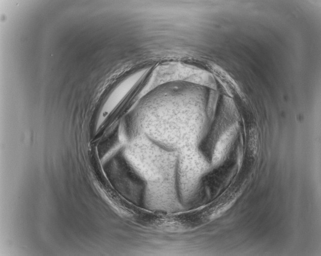 X0000087400589200705042037