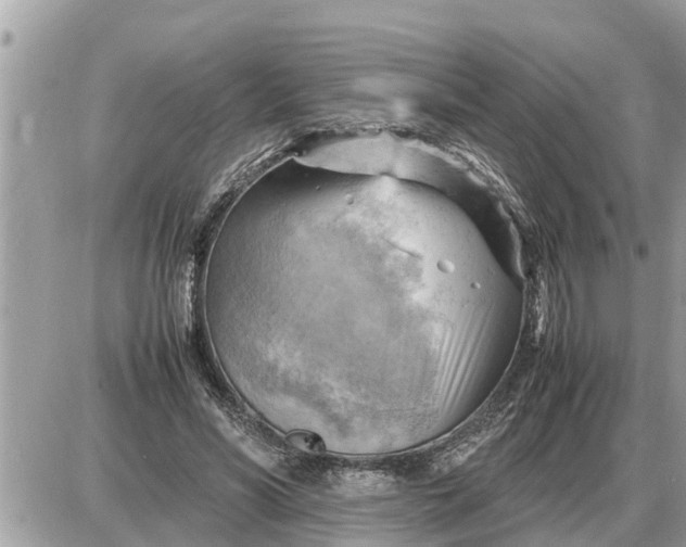 X0000087400590200705042037