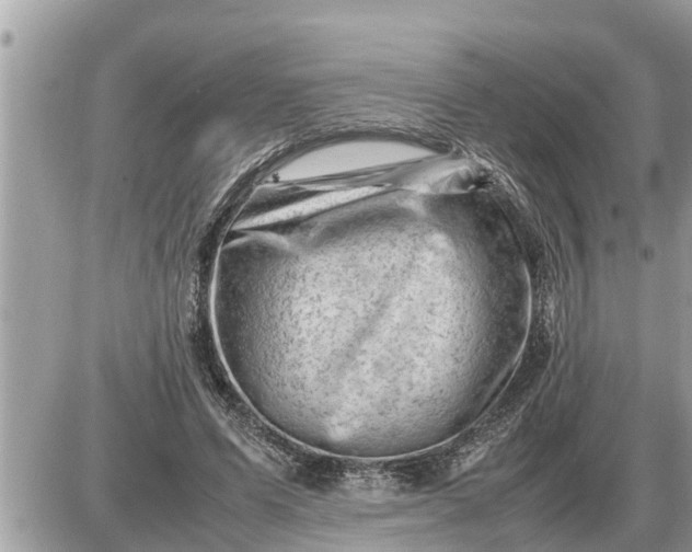 X0000087400591200705042037