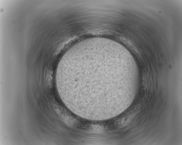 X0000087400592200705042037