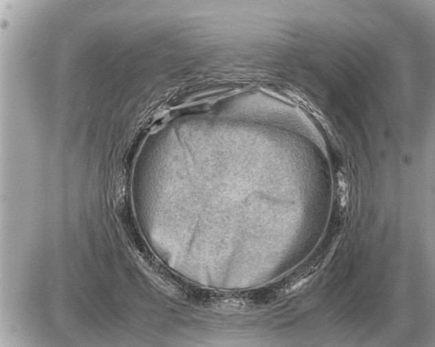 X0000087400593200705042037