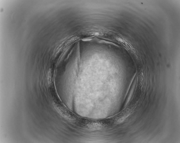 X0000087400594200705042037