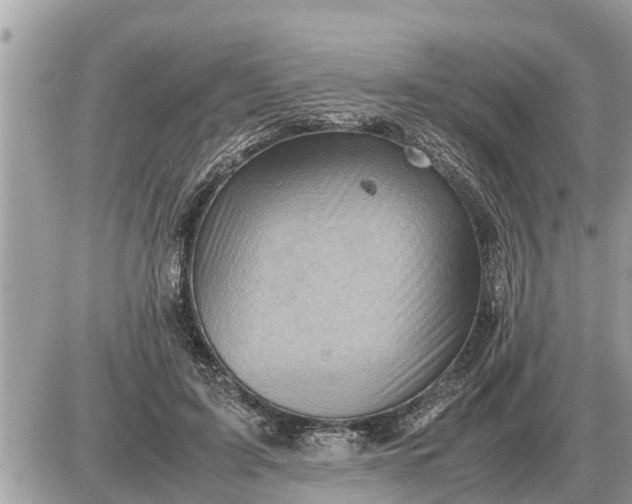 X0000087400595200705042037