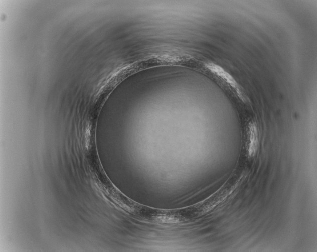 X0000087400596200705042037