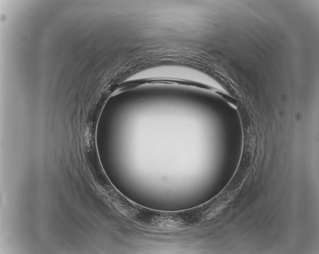 X0000087400597200705042037