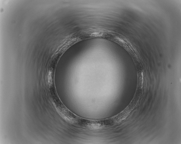 X0000087400598200705042037