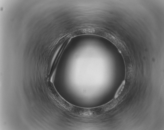 X0000087400600200705042037