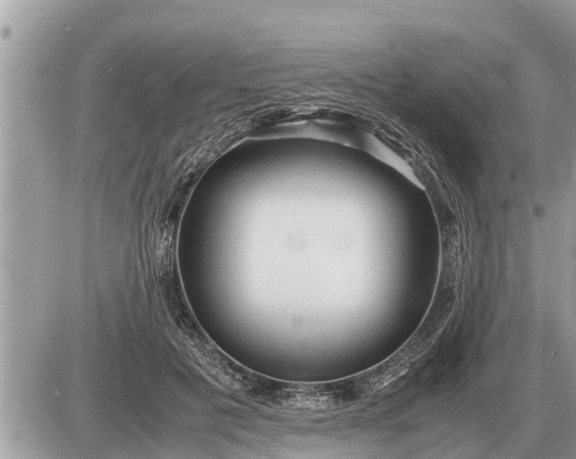 X0000087400601200705042037