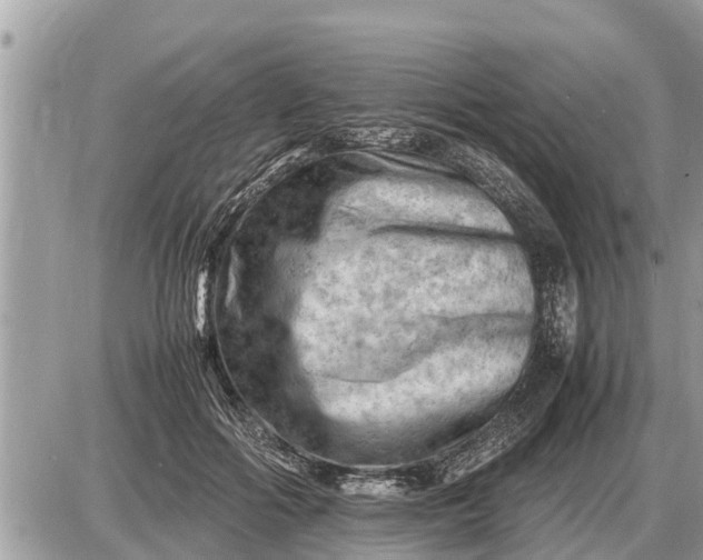 X0000087400602200705042037