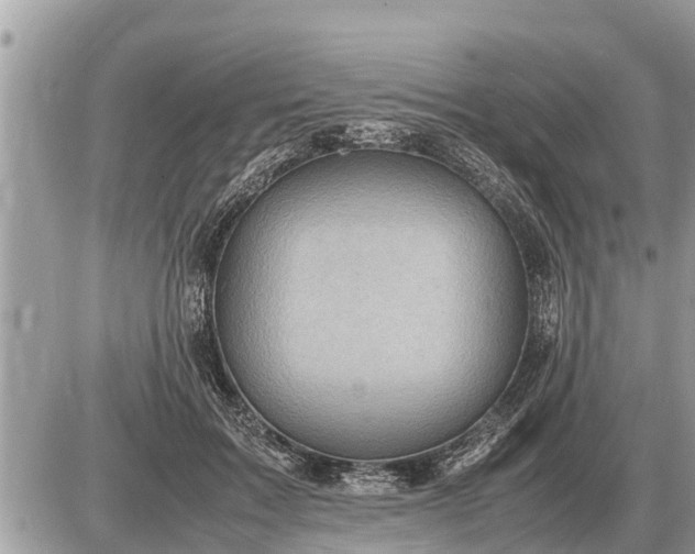 X0000087400603200705042037