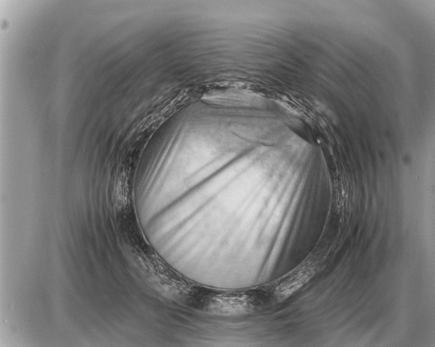 X0000087400606200705042037