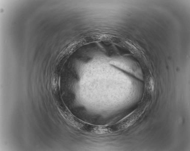 X0000087400607200705042037