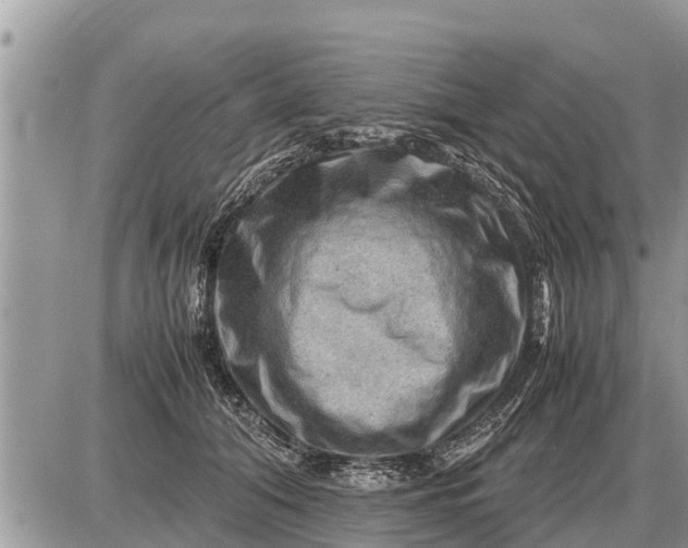 X0000087400608200705042037