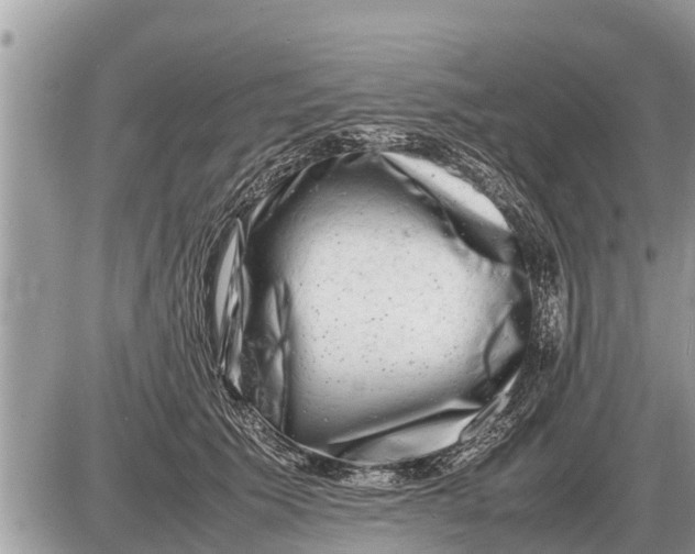 X0000087400609200705042037