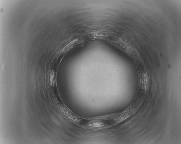 X0000087400610200705042037