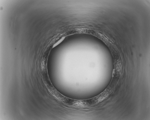 X0000087400611200705042037