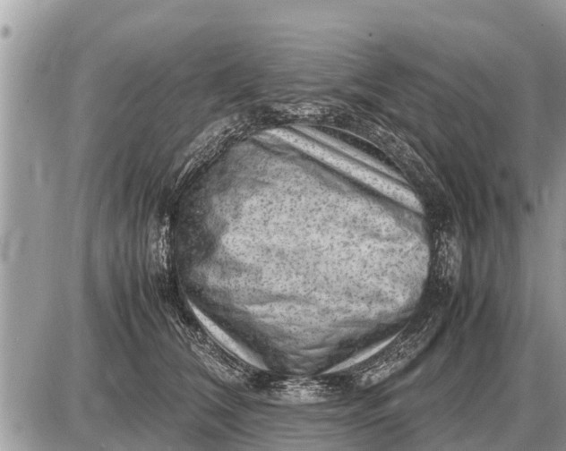 X0000087400612200705042037