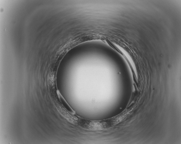 X0000087400613200705042037