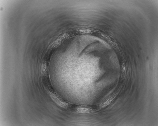 X0000087400614200705042037