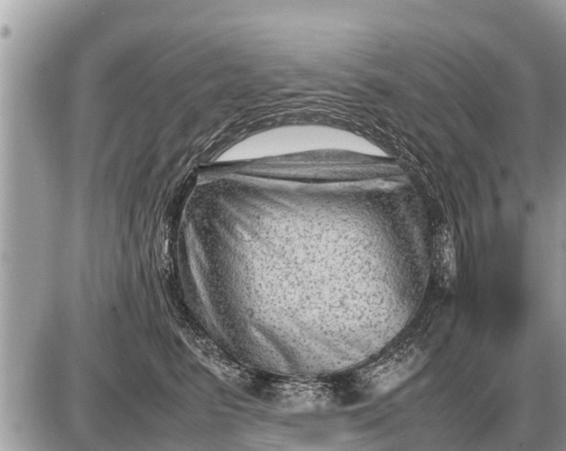 X0000087400615200705042037