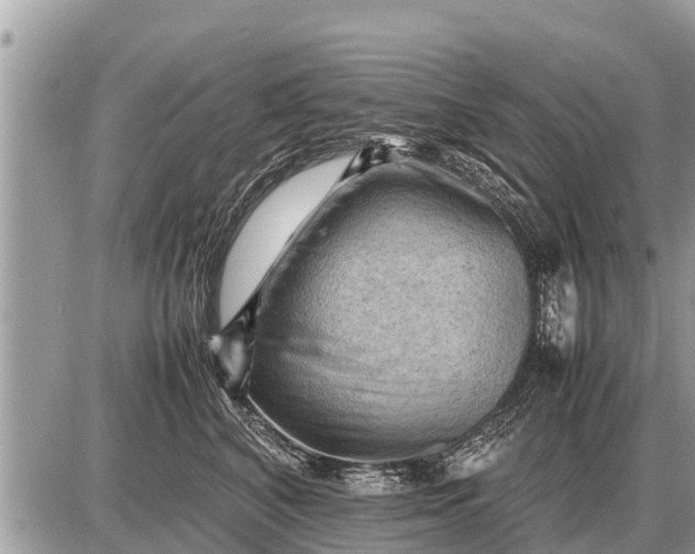 X0000087400616200705042037