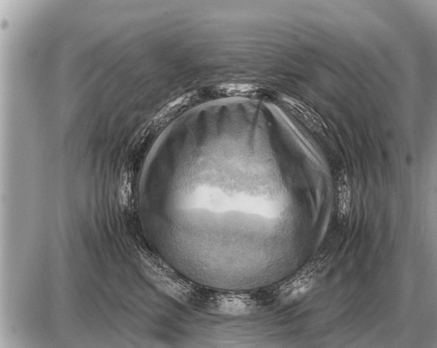 X0000087400618200705042037