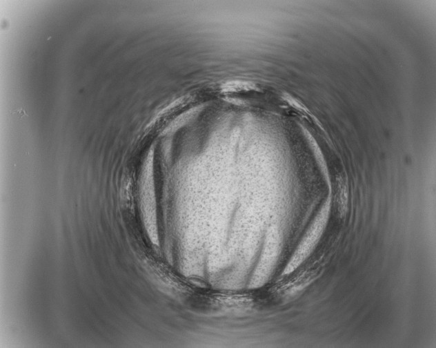 X0000087400619200705042037