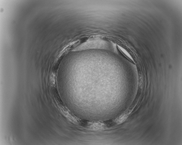 X0000087400621200705042037