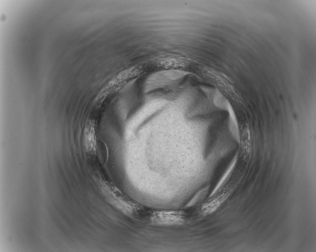 X0000087400622200705042037