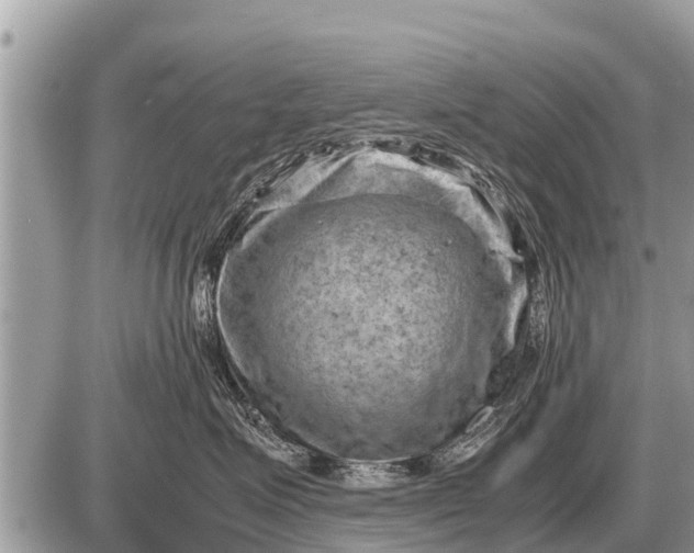 X0000087400623200705042037