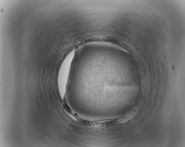 X0000087400624200705042037