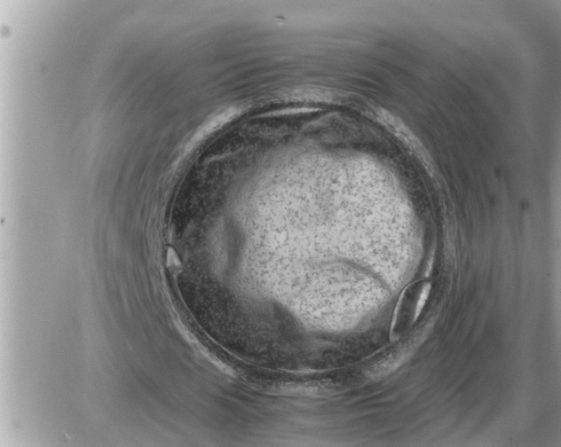 X0000087400625200705042036