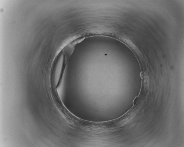 X0000087400626200705042036