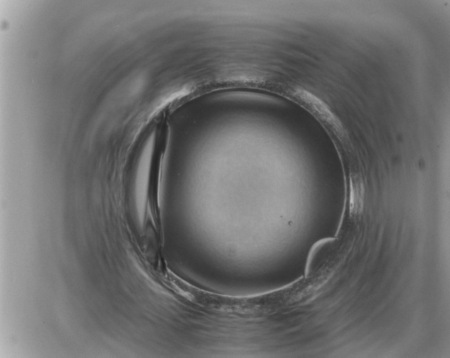 X0000087400627200705042036