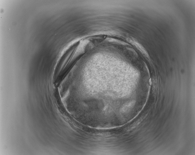 X0000087400628200705042036