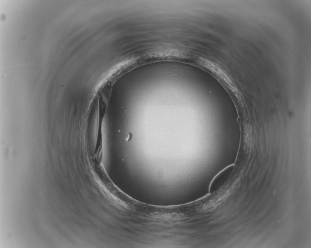 X0000087400629200705042036