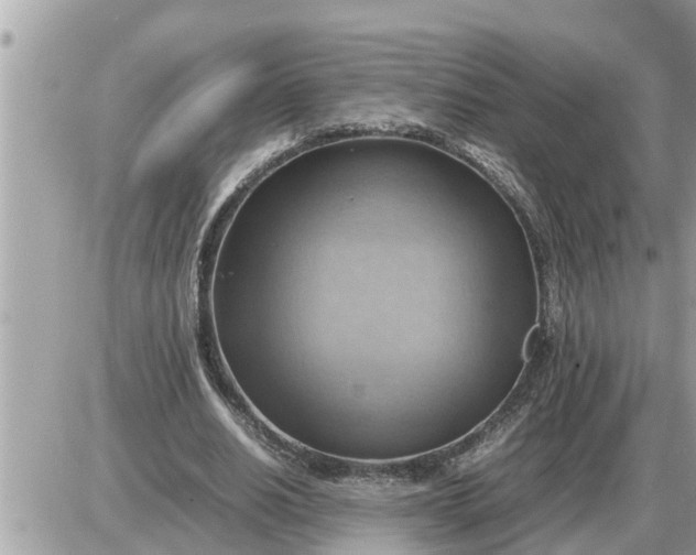 X0000087400630200705042036