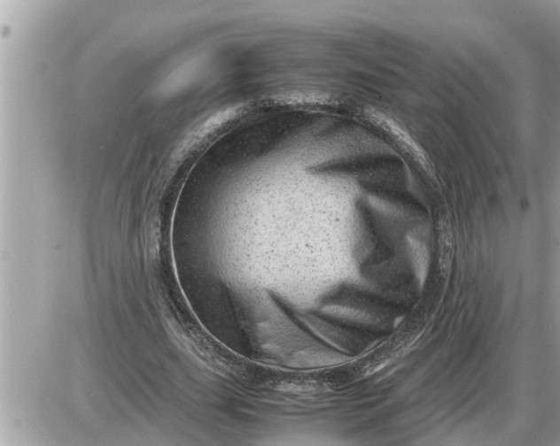 X0000087400631200705042036