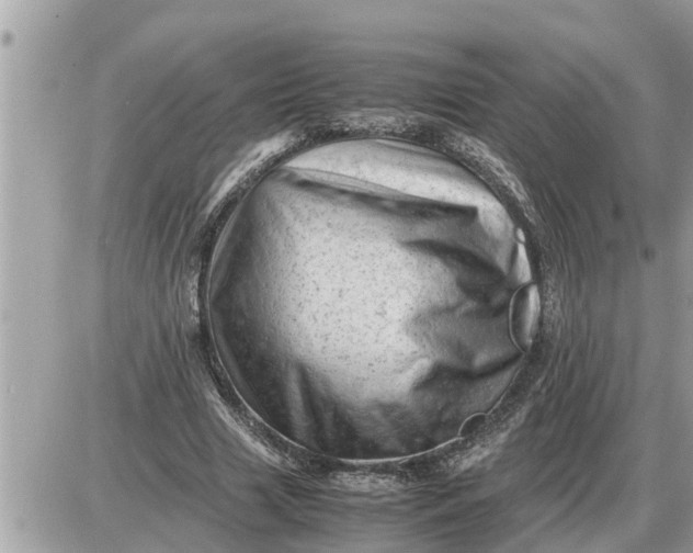 X0000087400633200705042036