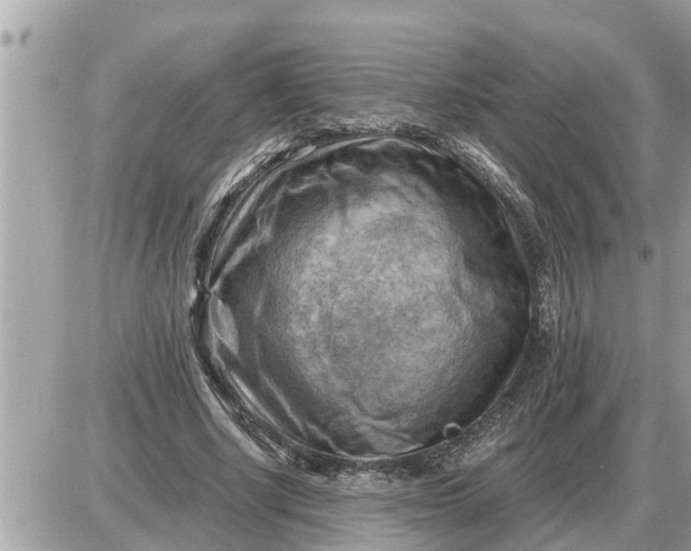 X0000087400634200705042036