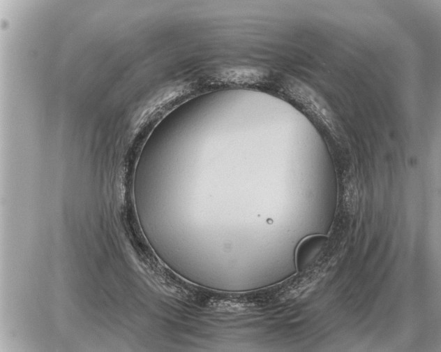 X0000087400635200705042036