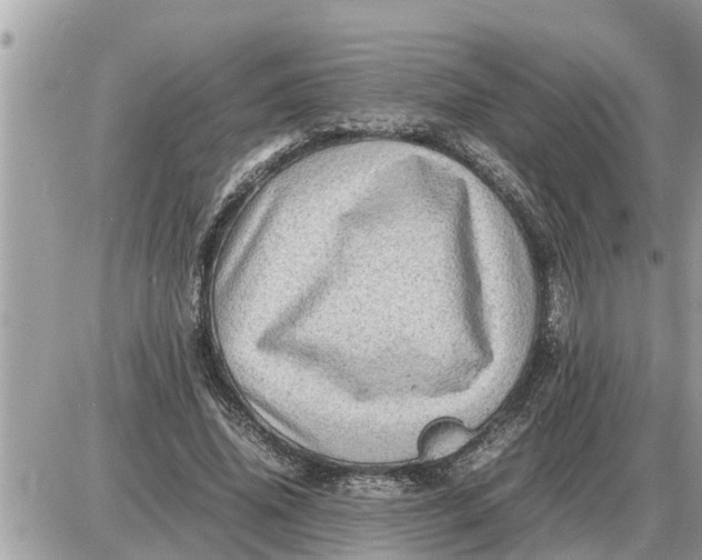 X0000087400636200705042036