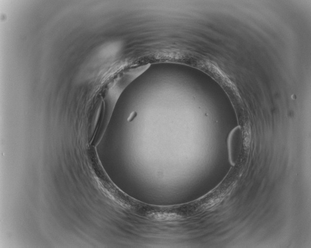 X0000087400637200705042036