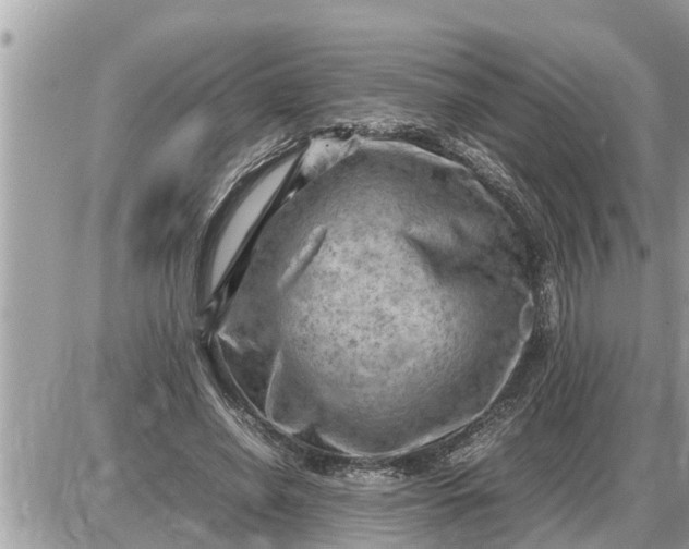 X0000087400638200705042036