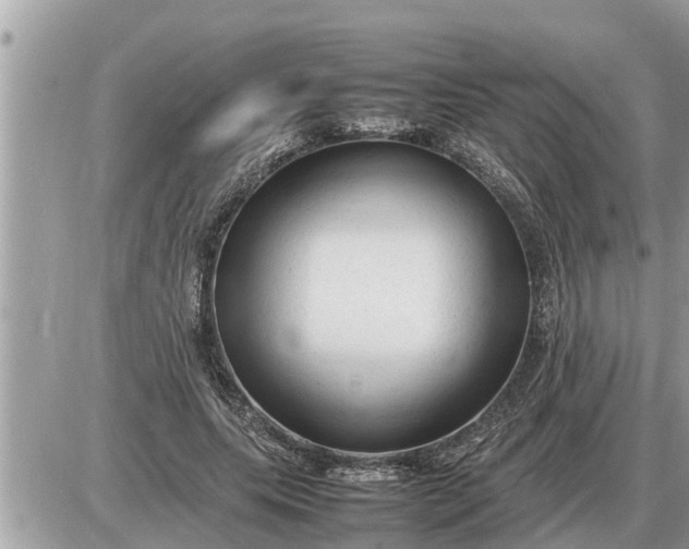 X0000087400639200705042036