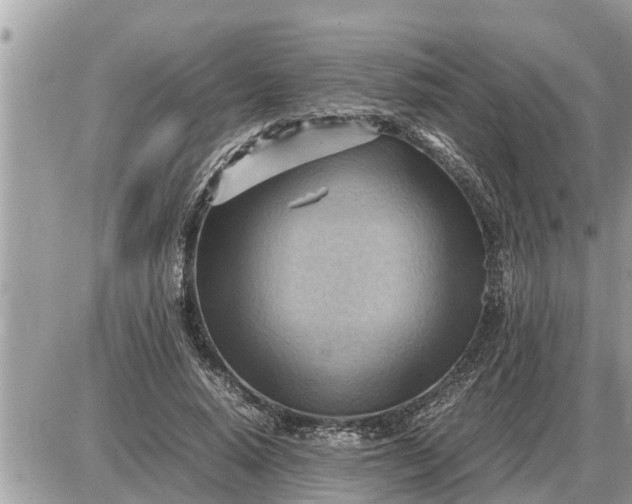 X0000087400640200705042036