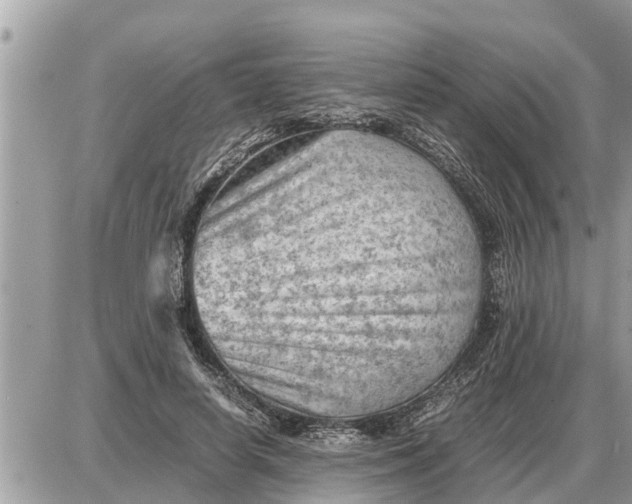 X0000087400642200705042036