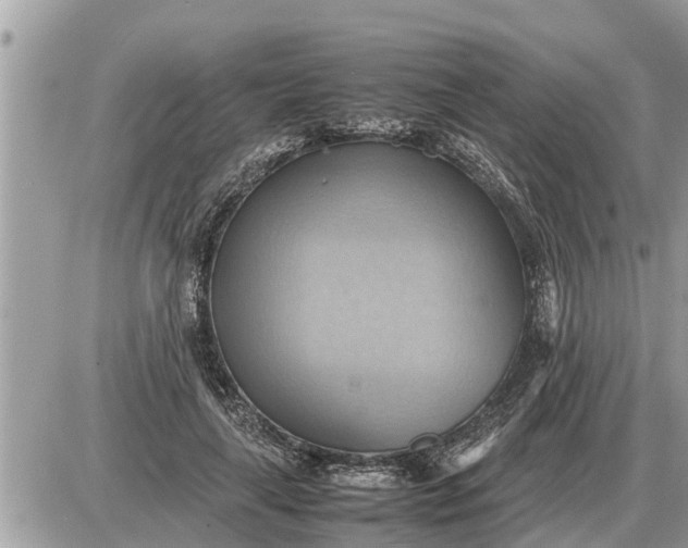 X0000087400643200705042036