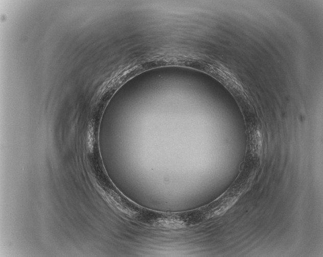 X0000087400644200705042036